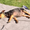 Kleine Nadia wurde ausgesetzt