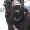 VALERIE - Zuhause gesucht