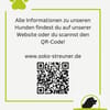 Ailo, ein fröhlicher Bursche