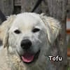 TOFU