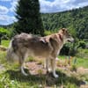 HOBBIT möchte mit dir auf Tour gehen!
