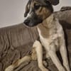 Sensible aber aufgeweckte Freya