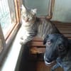 TOPRAK & CAKIR - suchen dringend......