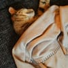 Zuhause gesucht für Jessi