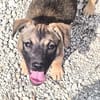 Lucy