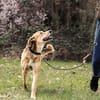 Luna sucht ihr Für-Immer-Zuhause