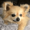 Cubby