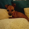 Roxy la mamie coquine