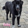 Ruby - freundlich und menschenbezogen