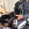 Ruby - freundlich und menschenbezogen