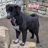 Ruby - freundlich und menschenbezogen