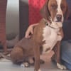 Tommy sucht seine Menschen