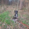 Nita - zarte freundliche Seele🍀