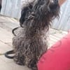 Lotti sucht nach Liebe