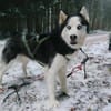 FELIX 2 ist liebenswert und freundlich