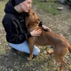 Big Buddy-Liebervoller Bollerkopf sucht