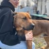 Big Buddy-Liebervoller Bollerkopf sucht