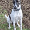 Franka sucht ihre Familie