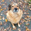 Ben - liebt konsequente Menschen