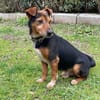 Bau sucht Happy-Home