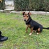 Bau sucht Happy-Home