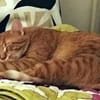 MIO sucht ein neues Zuhause