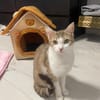 Louna