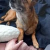 NISHA sucht eine aktive Familie