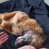 NISHA sucht eine aktive Familie