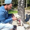 Rosa - ist immer dabei