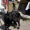 Liliana, kinderlieb, ruhiges Wesen,offen