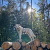 Argo wartet in Hessen!