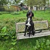Leia - URGENCE ADOPTION