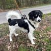 Hermes - Wirbelwind sucht Landeplatz