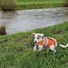 Spotty sucht ihren Traumpalast