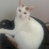 Zuhause gesucht für Lisi & Lucky