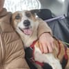 DARCY ist ein liebevolles Mädchen ♥