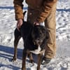 💙Leo💙 sucht ein für immer Zuhause