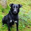 ZOLA -liebt alle Menschen-