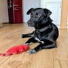 ZOLA -liebt alle Menschen-