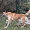 Morina - wartet in 91080 Spardorf
