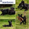 KNÖPPI -rundum tolles Hundekind-