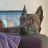 Odin sucht seine Menschen