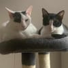 Penny und Pepe suchen gemeinsam