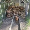 Moritz - aktiver Rüde sucht Kuschelkorb