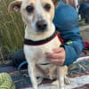 Arby 3/23 m auf der Suche