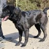 Sila, neugierig, respektvoll, lernwillig
