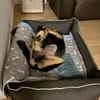 Ally ist so fröhlich und lieb!