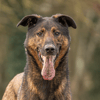 REKO OAA18967