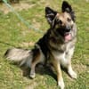 BABORKA sucht Zuhause